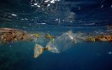Plastic bag in ocean