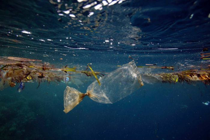 Plastic bag in ocean