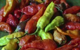 Chilies are a common staple for cooking chutneys and curries