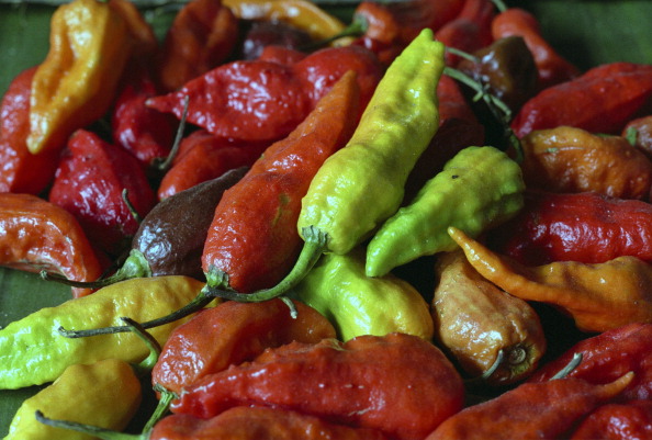 Chilies are a common staple for cooking chutneys and curries