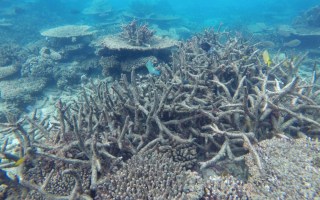 Great Barrier Reef