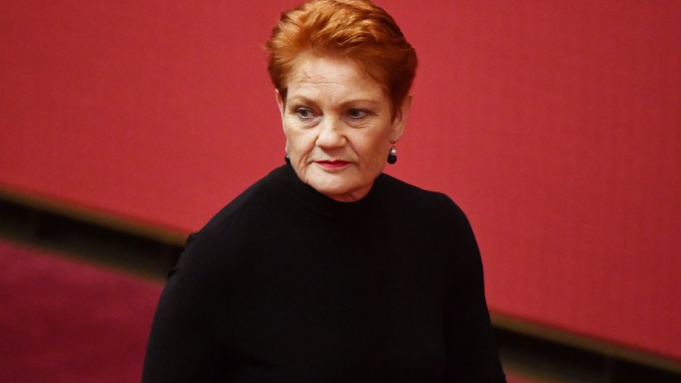 Pauline Hanson bank royal commission