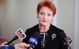 Pauline Hanson citizenship law survey