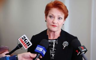 Pauline Hanson citizenship law survey