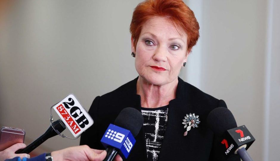 Pauline Hanson citizenship law survey