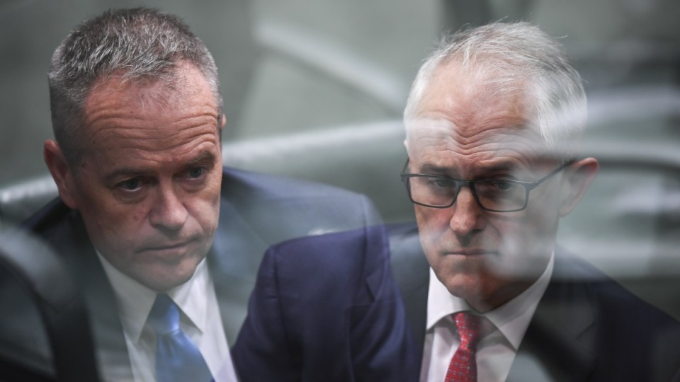 bill shorten malcolm turnbull