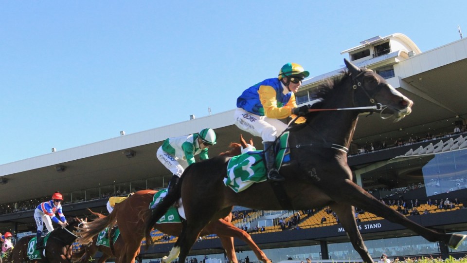 chris minns rosehill