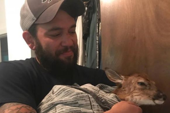 Policeman performs c-section to deliver baby deer
