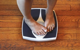 world obesity