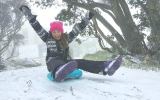 thredbo tobogganing