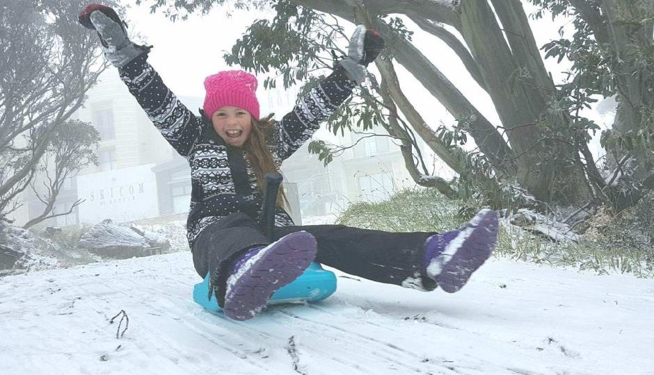 thredbo tobogganing