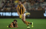 Shaun Burgoyne Hawthorn