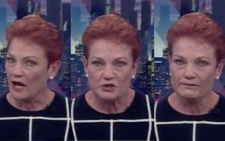 pauline hanson