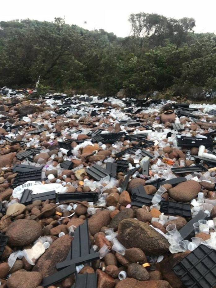 cargo shipping container nsw debris