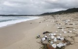 shipping container cargo debris