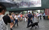 nsw police sniffer drug dogs above and beyond festival
