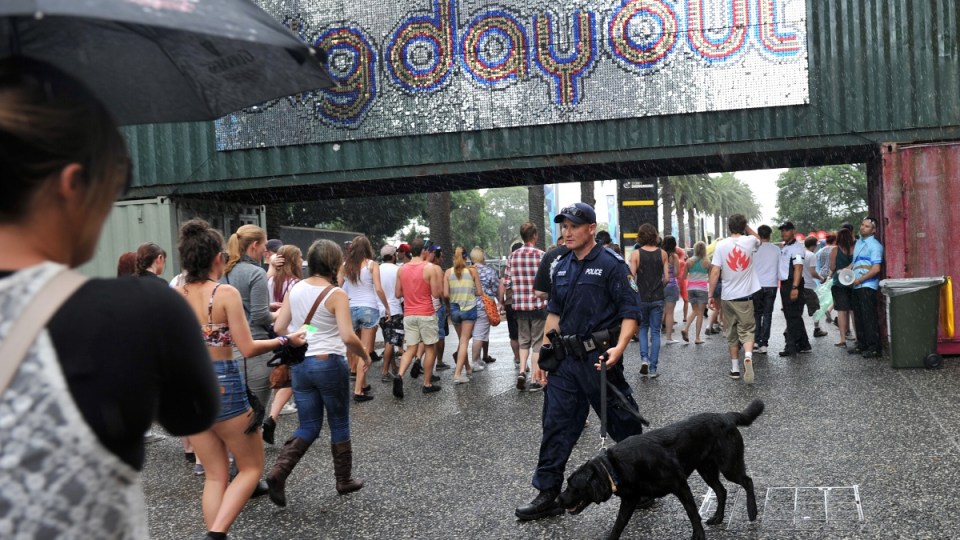 nsw police sniffer drug dogs above and beyond festival