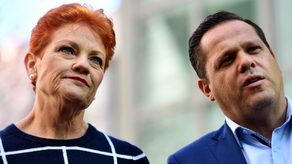Pauline hanson one nation