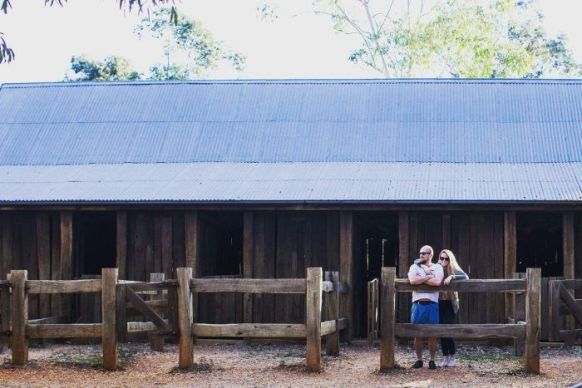 Professional house sitters