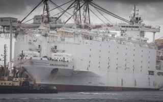 live sheep export licence suspension