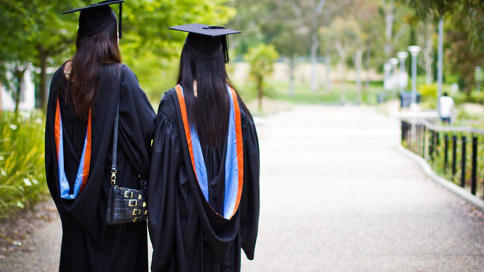 university graduates