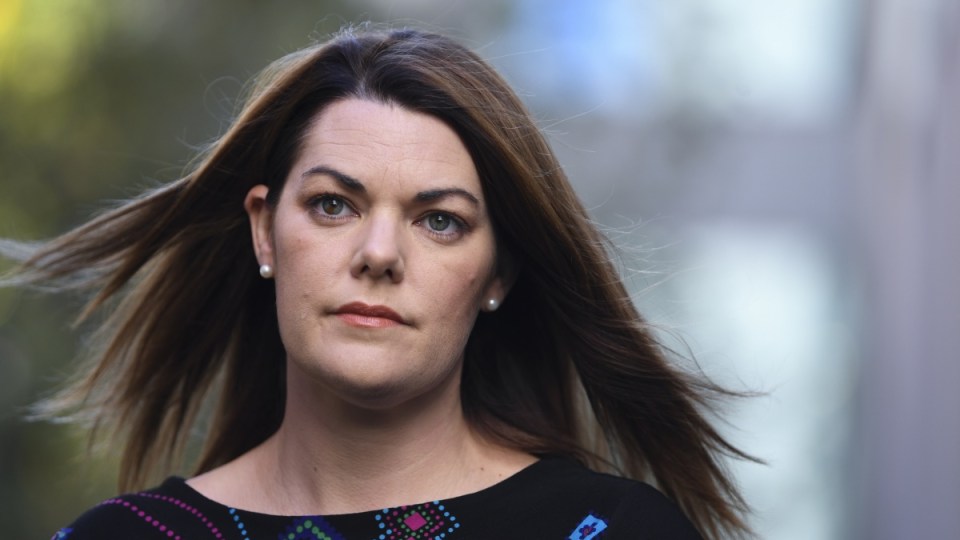 hanson-young sexist