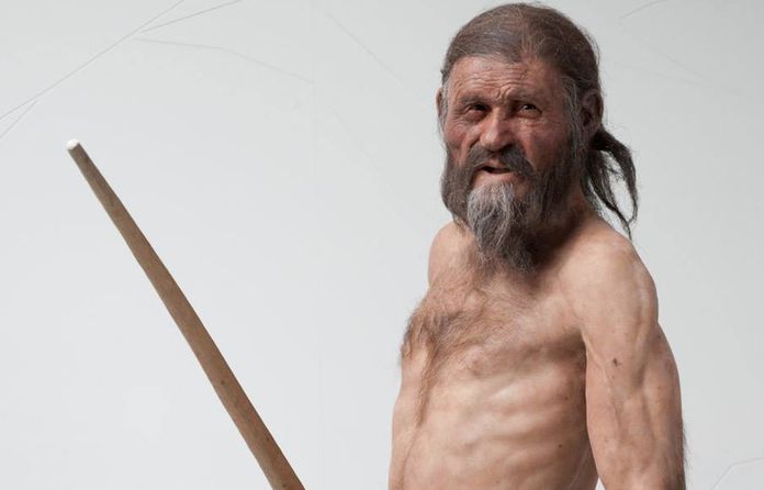 iceman otzi last meal revealed