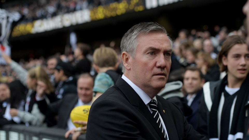 collingwood poker machines afl gambling