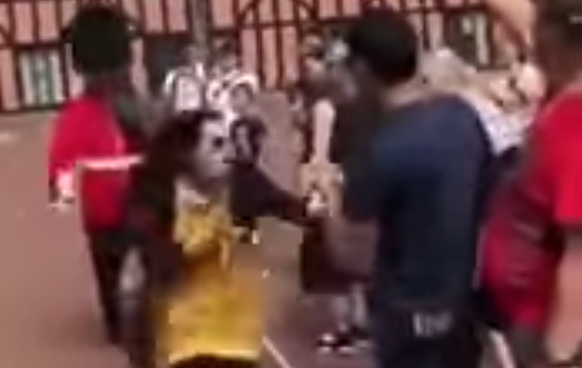 queen's guard tourist