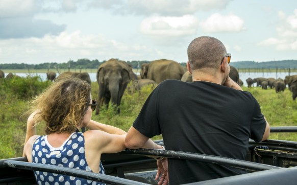 safari sri lanka