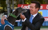 greyhound race nsw taxpayers $500,000