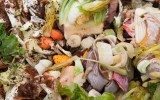 melbourne food waste compost
