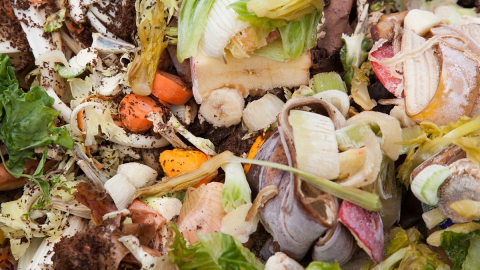 melbourne food waste compost
