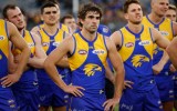 Andrew Gaff AFL round 20