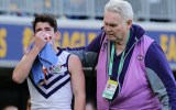 Andrew Brayshaw Andrew Gaff