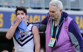 Andrew Brayshaw Andrew Gaff