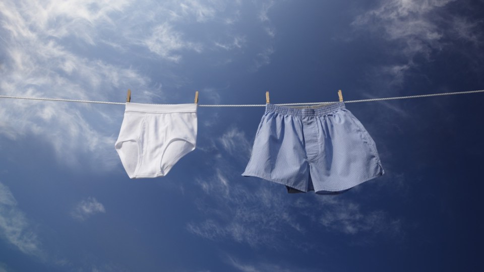 boxers briefs male fertility