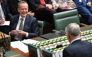 bill shorten question time