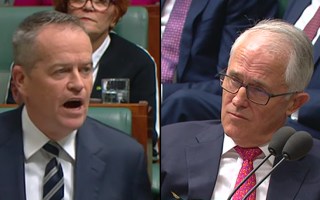 bill shorten malcolm turnbull