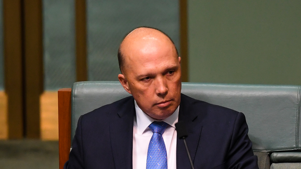 peter dutton