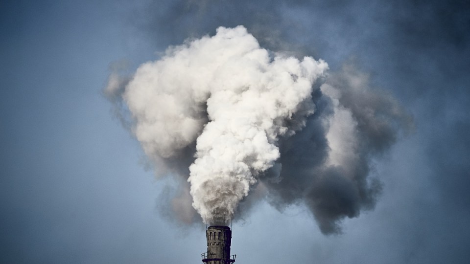 Experts agree there is no rational basis for conservative Liberals' 'infatuation' with coal.