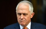 Malcolm Tunrbull paranoia
