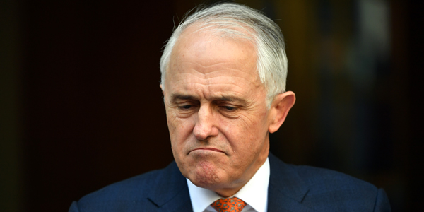 Malcolm Tunrbull paranoia