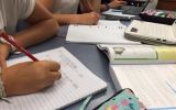 naplan
