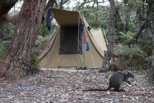 If you're going to embrace nature, there's a few rules to follow to make sure you enjoy it.