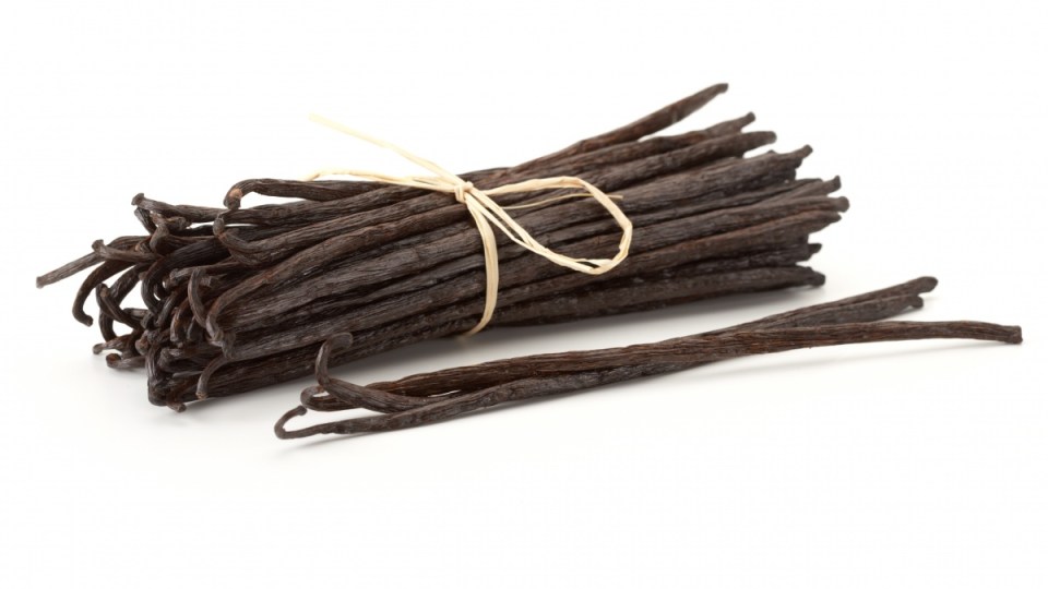 vanilla-bean