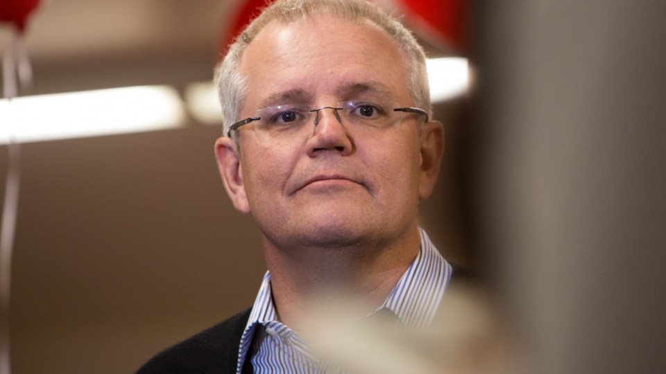 scott morrison
