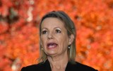 sussan ley gender quota