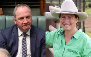 barnaby joyce harrassment
