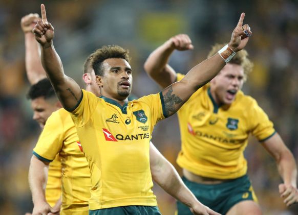 wallabies Springboks Suncorp